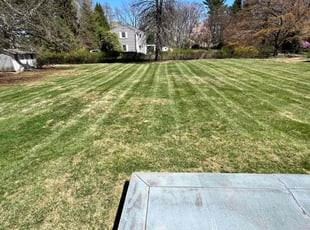 Richard C.'s lawn service service result