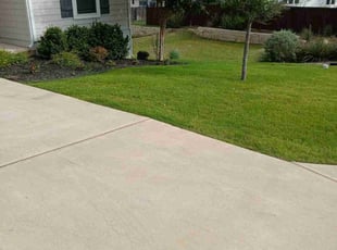 Priscilla D.'s turf care service result