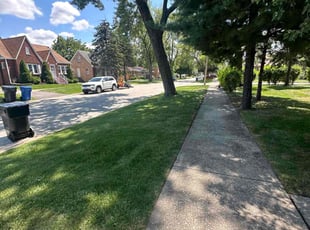 Linda B.'s lawn care services service result