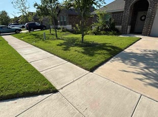 Elizabeth M.'s lawn care service result