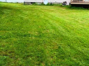 Kathy W.'s turf care service result