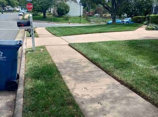 Jane A.'s grass maintenance service result