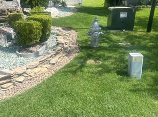 Michelle B.'s lawn care services service result