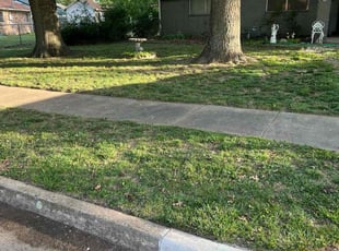 Andy G.'s lawn care service result