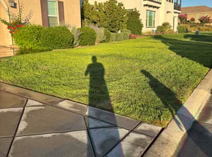 Lamar C.'s grass maintenance service result