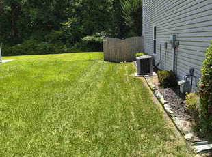 Sue P.'s grass maintenance service result