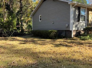 Patrick C.'s Bush Trimming service result