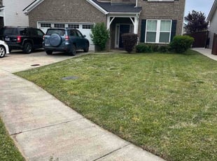 Latasha B.'s lawn care service result