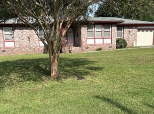 Mary Ellen D.'s grass maintenance service result