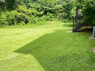 Sharon R.'s lawn care services service result