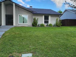 Chuyone M.'s turf maintenance service result