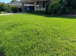 Kenneth M.'s lawn care service result