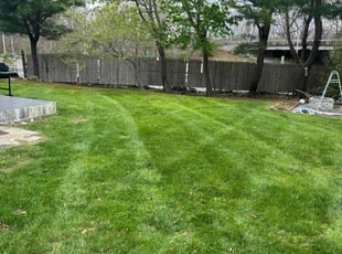 John S.'s lawn care services service result