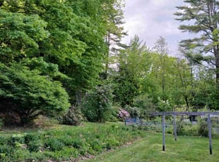 Kathryn M.'s lawn maintenance service result