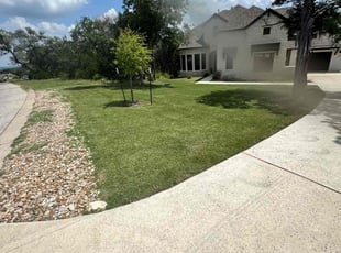 Josh R.'s turf care service result