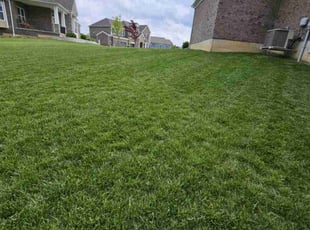 Nettie W.'s lawn service service result
