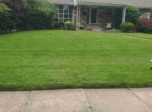 Jessica W.'s turf care service result