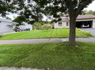 Chazzlen J.'s lawn care service result