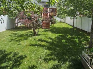 Ryan G.'s lawn care service result