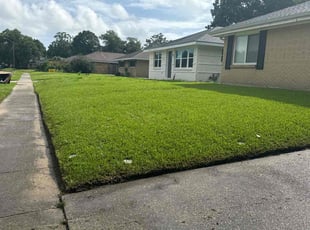 Roi A.'s lawn care service result