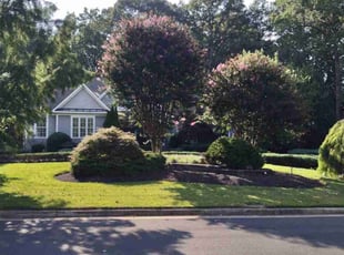 Andrea S.'s Bush Trimming service result