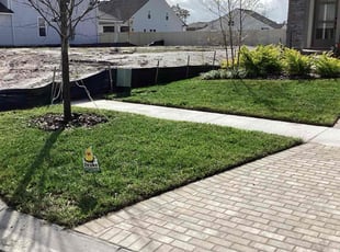 Tammi M.'s grass maintenance service result