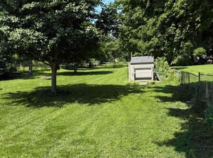 Kenneth E.'s yard maintenance service result