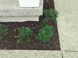 Amy V.'s Custom service service result