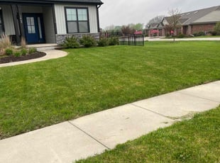 Michael M.'s lawn maintenance service result