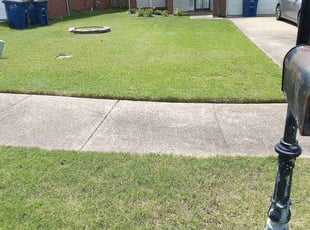 Katie F.'s turf maintenance service result