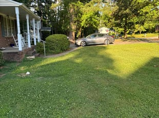 Dominique H.'s turf care service result
