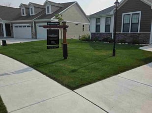 Michael B.'s lawn care services service result