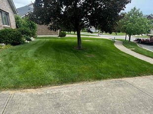 Vanessa P.'s Bush Trimming service result