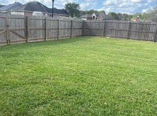 Eric C.'s grass maintenance service result
