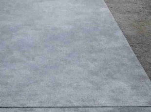 Mitchell A.'s Stump Grinding or Removal service result