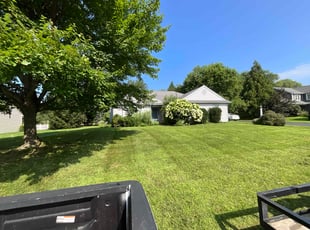 Jolene H.'s turf care service result