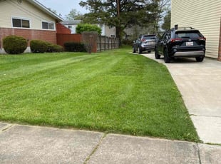 Sarah A.'s lawn service service result