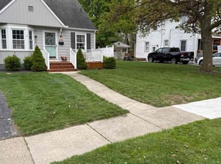 Md S.'s lawn care services service result
