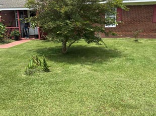 Karen L.'s lawn care services service result