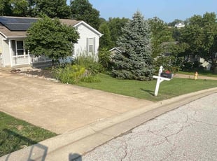 Michael B.'s grass cutting service result