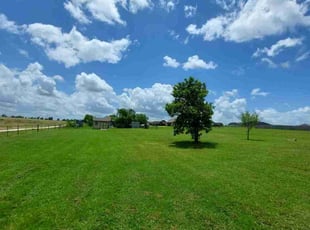 Dana C.'s grass cutting service result