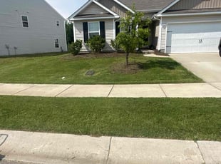 Dino F.'s lawn service service result