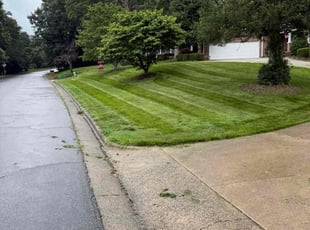 Wynter J.'s turf maintenance service result