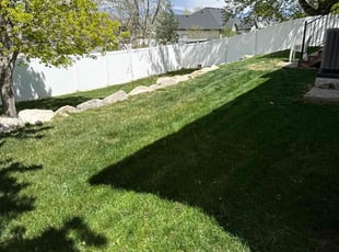 Elena G.'s turf care service result