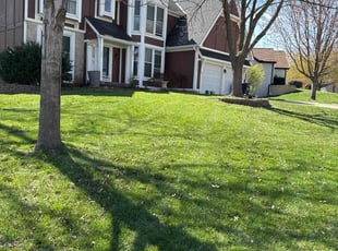 Allison L.'s lawn care services service result