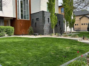 Tana D.'s grass cutting service result