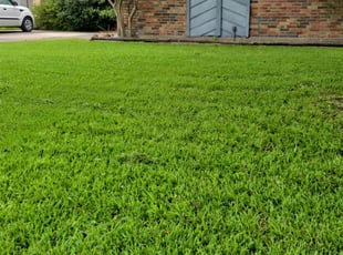 Jermaine G.'s lawn maintenance service result