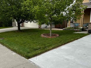 David W.'s lawn service service result