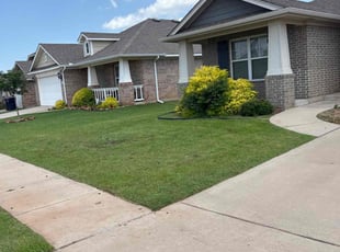 Monique F.'s grass cutting service result