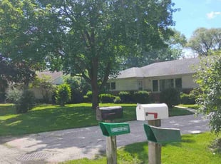 Peter G.'s grass cutting service result